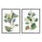 Stupell Industries Soft Eucalyptus Plant Blue Green Ombre Leaves Framed Wall Art